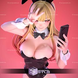 Rabbit Suit Marin 280mm My Dress Up Darling STL Files
