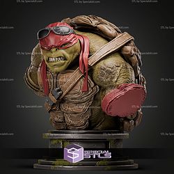 Raphael TMNT Bust Angry 134mm STL Files