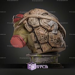 Raphael TMNT Bust Angry 134mm STL Files