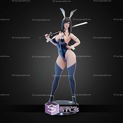 Reika Shimohira Gantz Rabbit STL Files