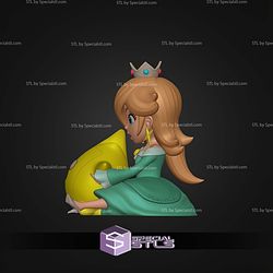 Rosalina Palomera Popcorn Bucket STL Files