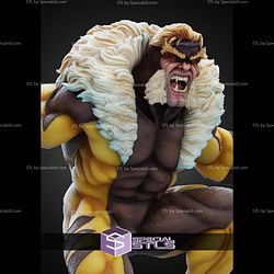 Sabretooth Various Version STL Files