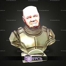 Basic STL Collection Kryten Bust