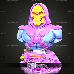 Basic STL Collection Skeletor Bust
