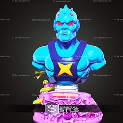 Basic STL Collection Webstor Bust