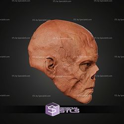 Cosplay STL Files Fallout Ghoul Helmet
