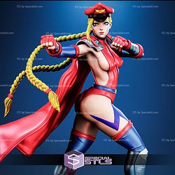 Shadaloo Cammy STL Files