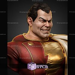 Shazam Portrait Bust 363mm STL Files