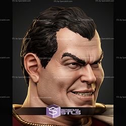 Shazam Portrait Bust 363mm STL Files