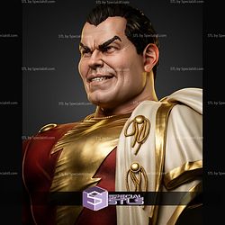 Shazam Portrait Bust 363mm STL Files