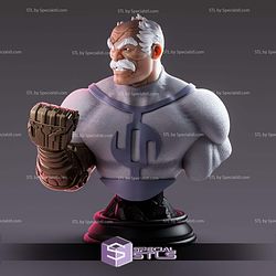 Simple STL Collection Conquest Bust