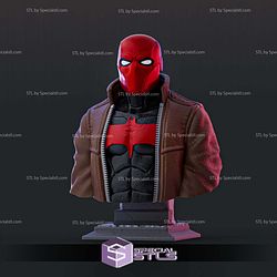 Simple STL Collection Red Hood Bust