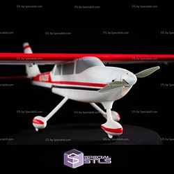 Skyward 3D Printed RC Models
