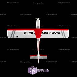 Skyward 3D Printed RC Models