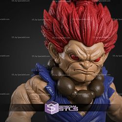 Super Basic STL Akuma Multipart