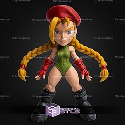Super Basic STL Cammy Multipart