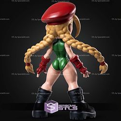 Super Basic STL Cammy Multipart