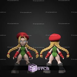 Super Basic STL Cammy Multipart