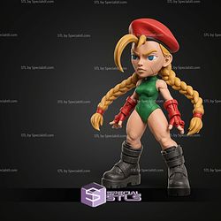 Super Basic STL Cammy Multipart