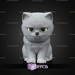 Super Basic STL Everyday Pack British Shorthair