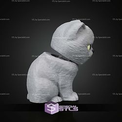 Super Basic STL Everyday Pack British Shorthair