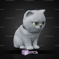 Super Basic STL Everyday Pack British Shorthair