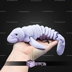 Super Basic STL Flexi Manatee