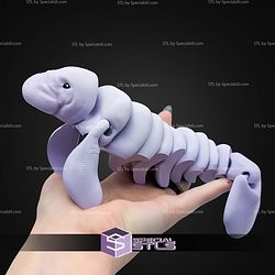 Super Basic STL Flexi Manatee