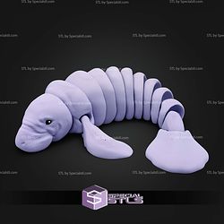 Super Basic STL Flexi Manatee