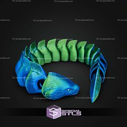 Super Basic STL Flexi Moray Eel
