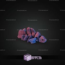 Super Basic STL Flexi Nano Beta Fish