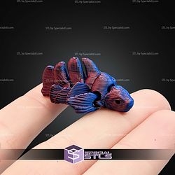 Super Basic STL Flexi Nano Beta Fish