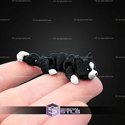 Super Basic STL Flexi Nano Cat