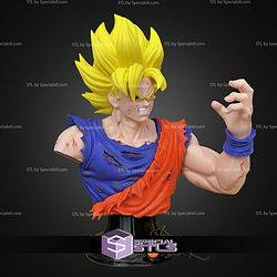 Super Basic STL Goku Bust No Ams