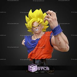 Super Basic STL Goku Bust No Ams