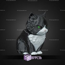 Super Basic STL Launch Pack Maine Coon