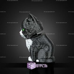 Super Basic STL Launch Pack Maine Coon