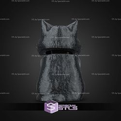 Super Basic STL Launch Pack Maine Coon