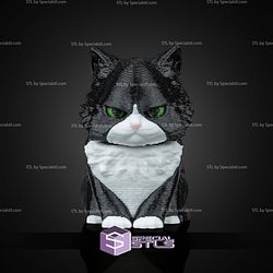 Super Basic STL Launch Pack Maine Coon