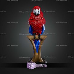 Super Basic STL Macaw Feather Puzzle