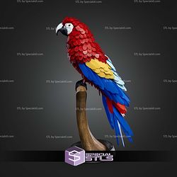 Super Basic STL Macaw Feather Puzzle