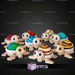Super Basic STL Planet Turtles