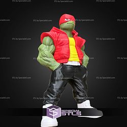 Super Basic STL Raphael Urban Vibes No Ams