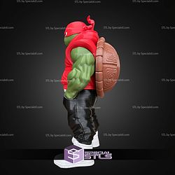 Super Basic STL Raphael Urban Vibes No Ams
