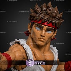 Super Basic STL Ryu Multipart