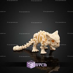 Super Basic STL Skeleton Ankylosaurus
