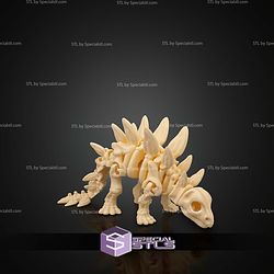 Super Basic STL Skeleton Stegosaurus