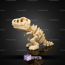 Super Basic STL Skeleton T Rex