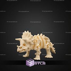 Super Basic STL Skeleton Triceratops