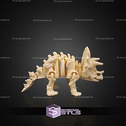 Super Basic STL Skeleton Triceratops